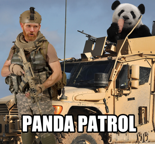 jeremy browne panda special forces beard